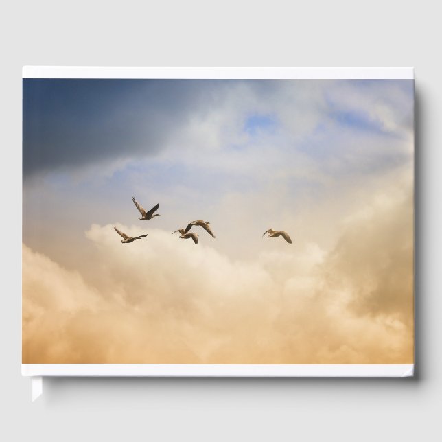 Flocket av fåglar under flygning gästböcker (Framsida)