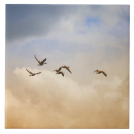 Flocket av fåglar under flygning kakelplatta