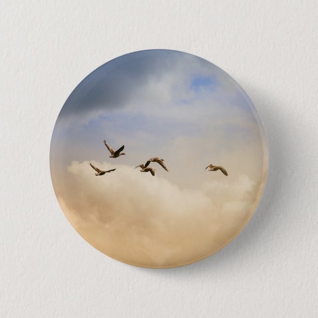 Flocket av fåglar under flygning knapp (Framsida)