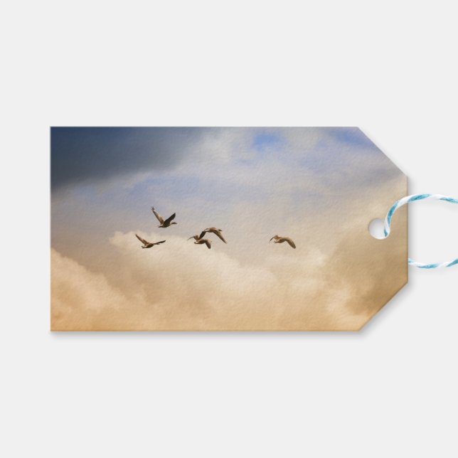 Flocket av fåglar under flygning presentetikett (Framsidan (Horisontell))