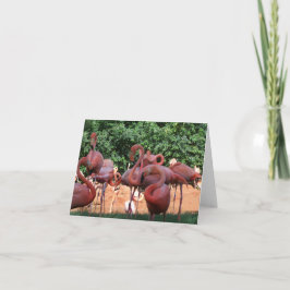 Flocket av Rosa Flamingos på blankprovet Anteckningskort