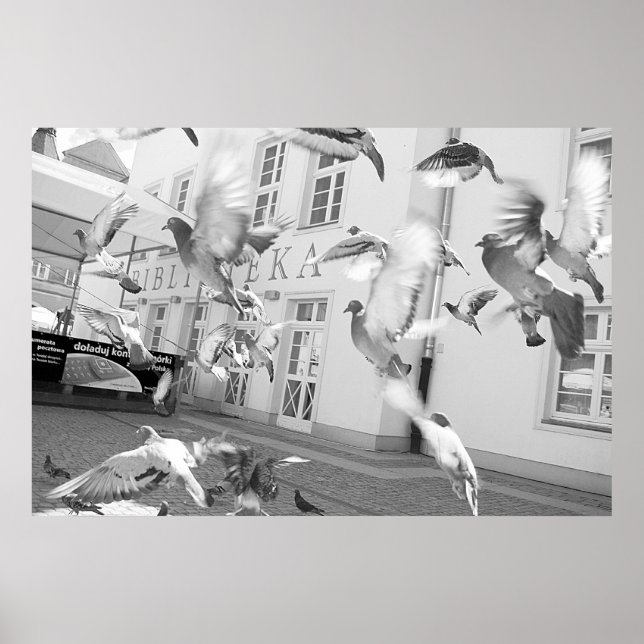 Flocket Poster (Framsidan)