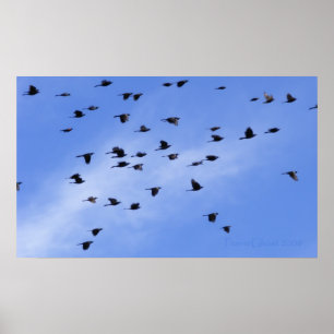 Flocklås 1 poster