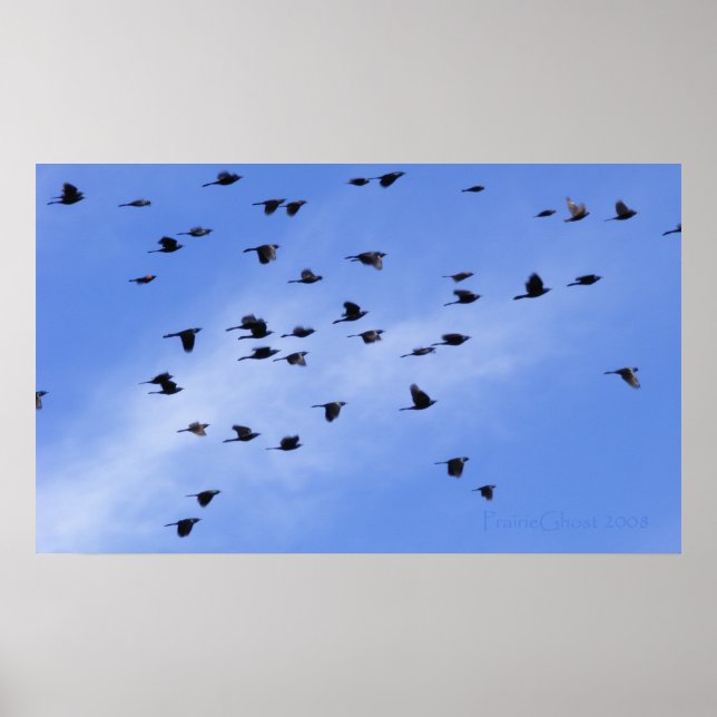 Flocklås 1 poster (Framsidan)