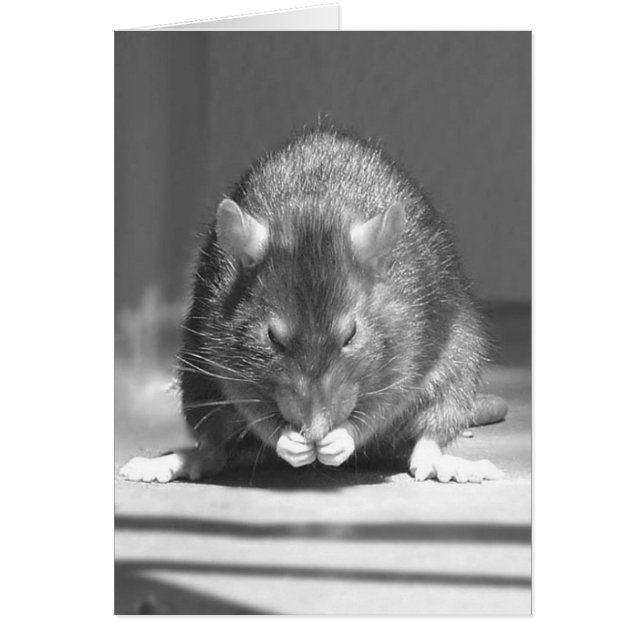 flod hälsningskort (Framsidan)