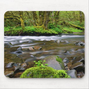 Flod i grön skog, Oregon Musmatta