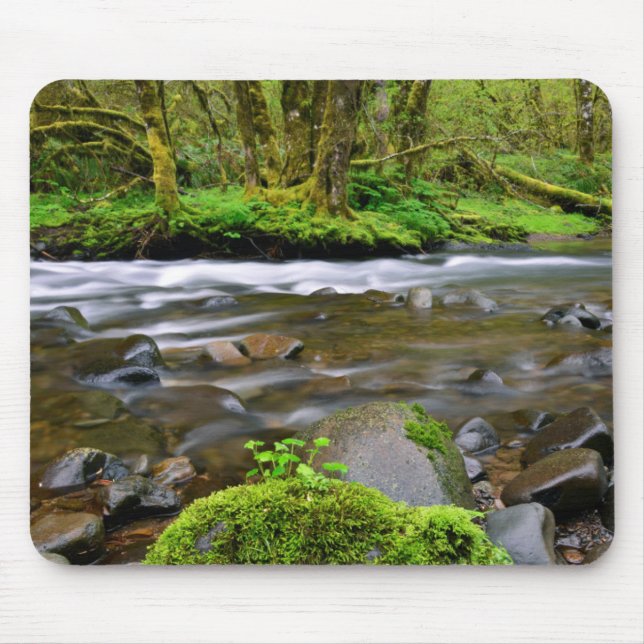 Flod i grön skog, Oregon Musmatta (Framsidan)