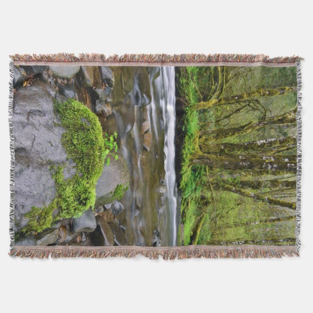 Flod i grön skog, Oregon Mysfilt (Framsidan)