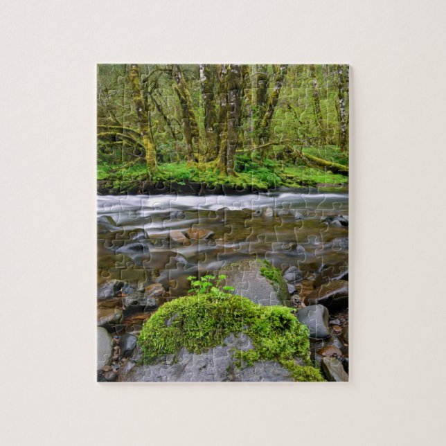 Flod i grön skog, Oregon Pussel (Vertikal)