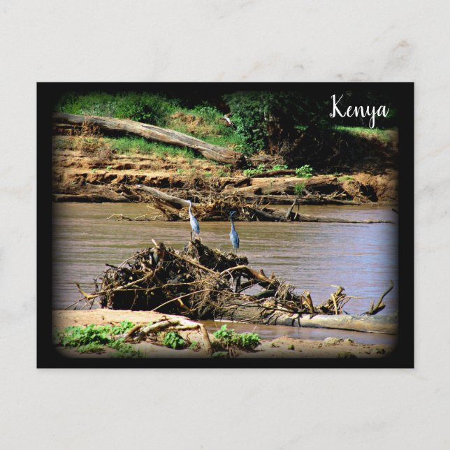 Flod i Samburu Vykort (Framsida)