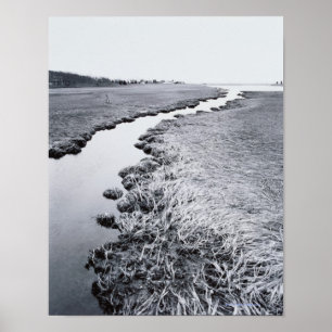Flod nära skog poster