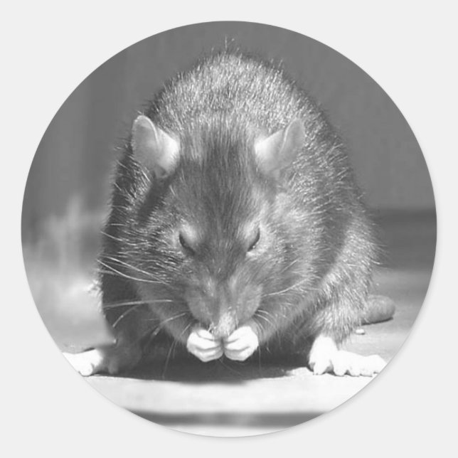 flod runt klistermärke (Framsida)