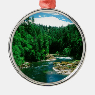 Flod Umpqua Douglas County Oregon Julgransprydnad Metall