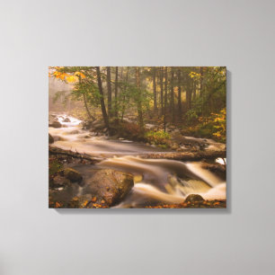 Flödande bäckar Appalachian Trail Vermont Canvastryck