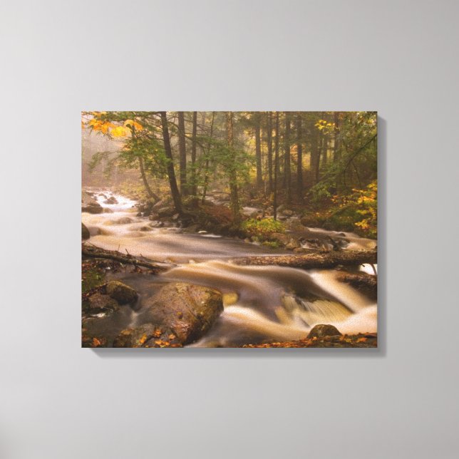 Flödande bäckar Appalachian Trail | Vermont Canvastryck (Framsida)