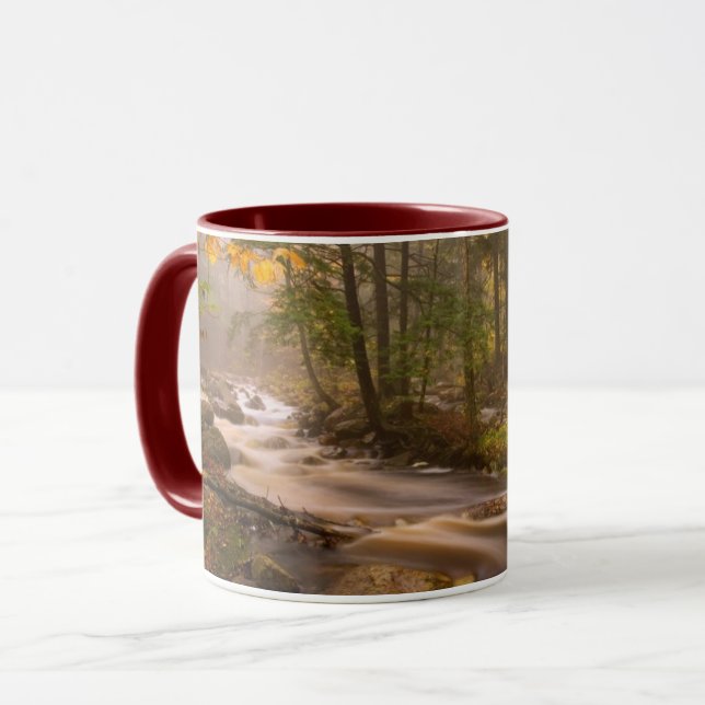 Flödande bäckar Appalachian Trail | Vermont Mugg (Framsida vänster)