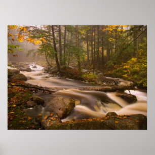 Flödande bäckar Appalachian Trail Vermont Poster