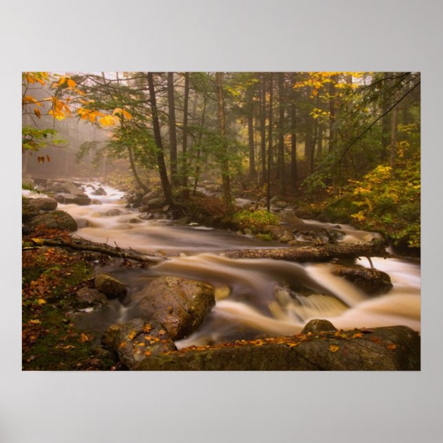 Flödande bäckar Appalachian Trail | Vermont Poster (Framsidan)