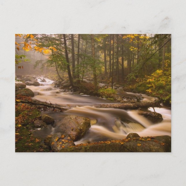 Flödande bäckar Appalachian Trail | Vermont Vykort (Framsida)
