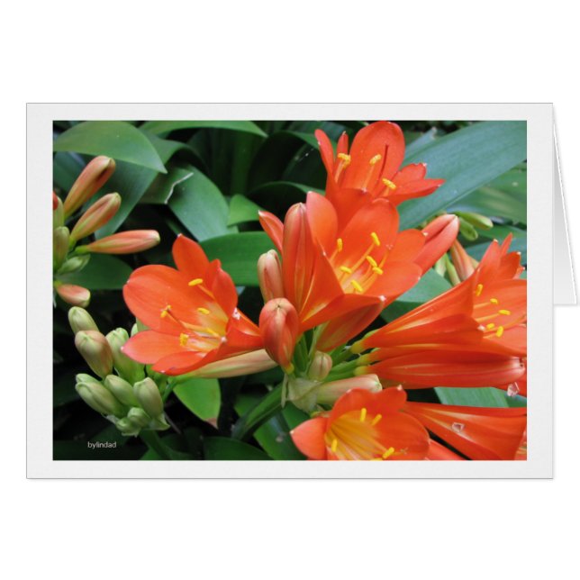 Flöde3 Hälsningskort (Framsidan Horizontal)