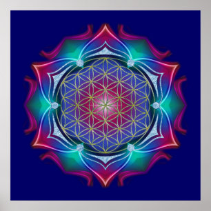 FLÖDE AV LIV/Blume des Lebens - Mandala IV Poster