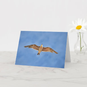 Flöde Sea Gull Bird Art Note Card Kort