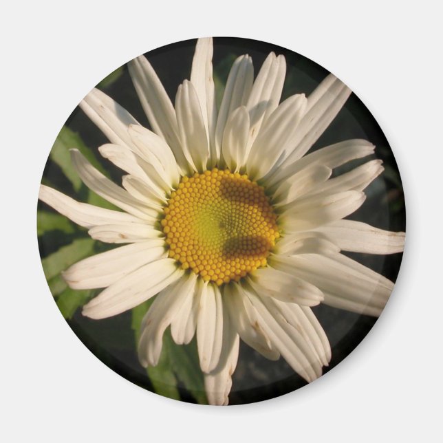 Flödeffekt Magnet (Framsidan)