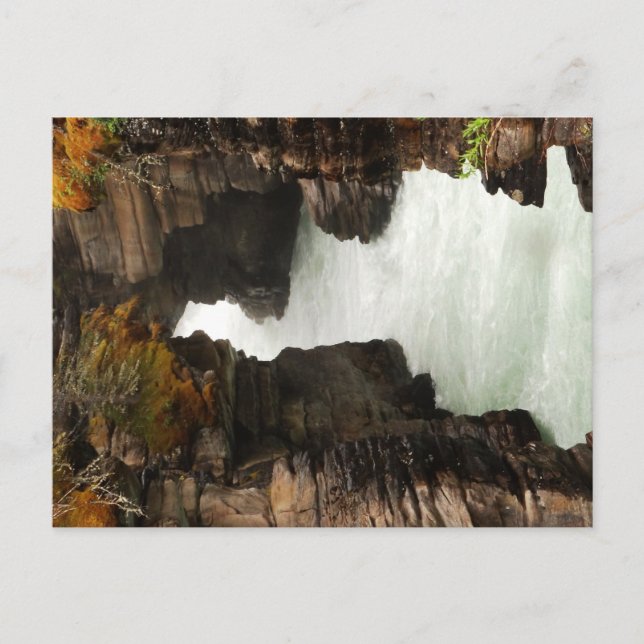 Floden Athabasca, efter Falls Vykort (Framsida)