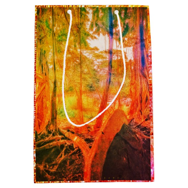 Floden Banyan/Wander med Stars Kväll (Framsidan)