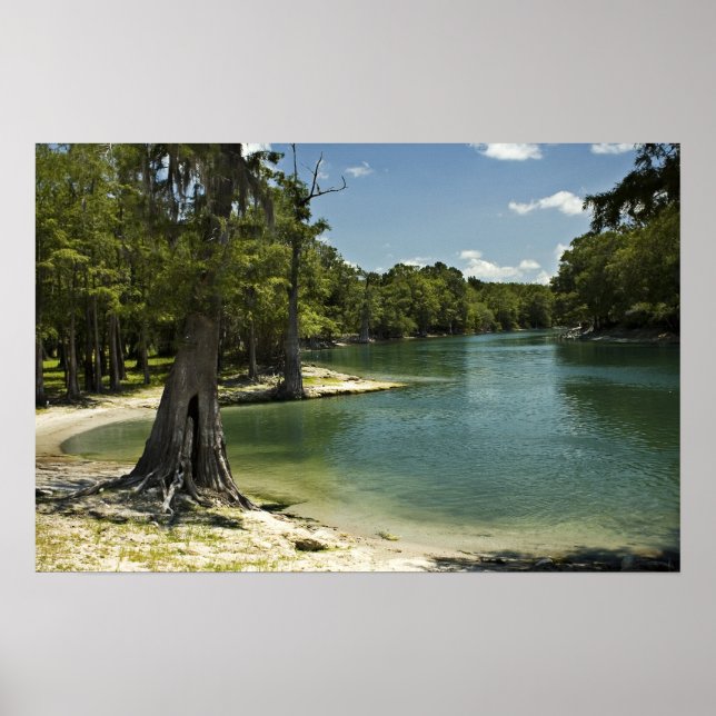 Floden Beach, Suwannefloden, Florida Print Poster (Framsidan)