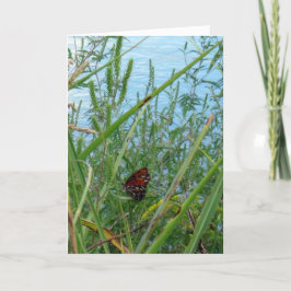 Floden Butterfly Kort