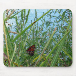 Floden Butterfly Musmatta