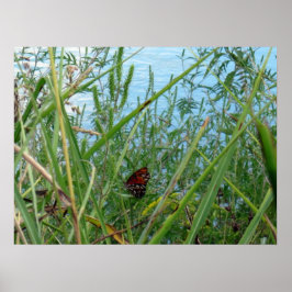 Floden Butterfly Poster