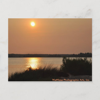 Floden Cape Fear Vykort