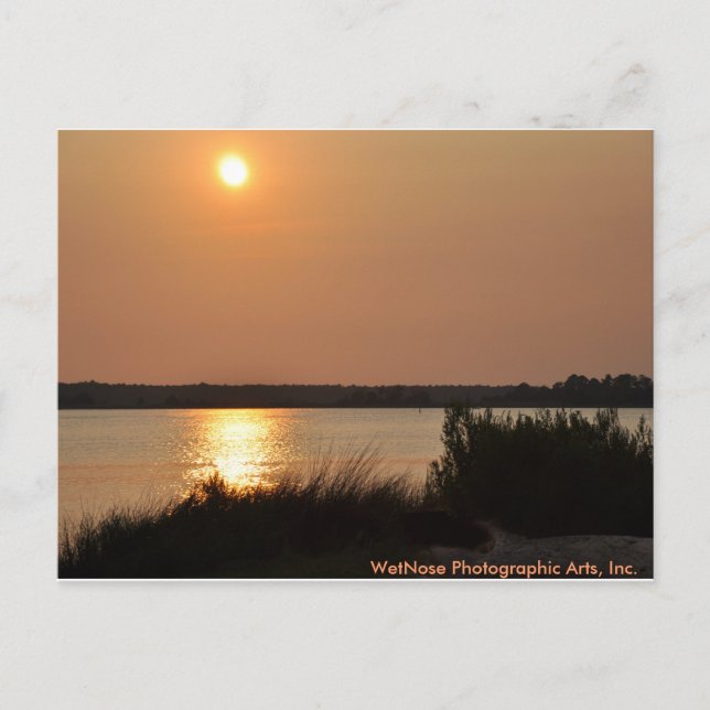 Floden Cape Fear Vykort (Framsida)