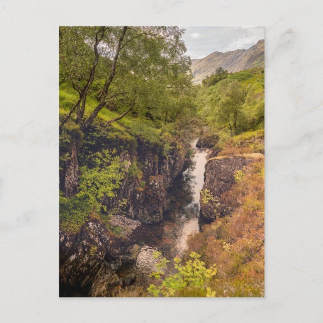 Floden Coe Canyons Vykort (Framsida)