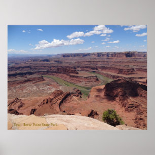 Floden Colorado från nationalparken Horse Point Poster