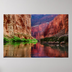 Floden Colorado i Grand Canyon, AZ Poster