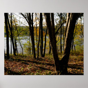Floden Connecticut Poster