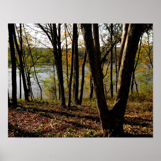Floden Connecticut Poster (Framsidan)