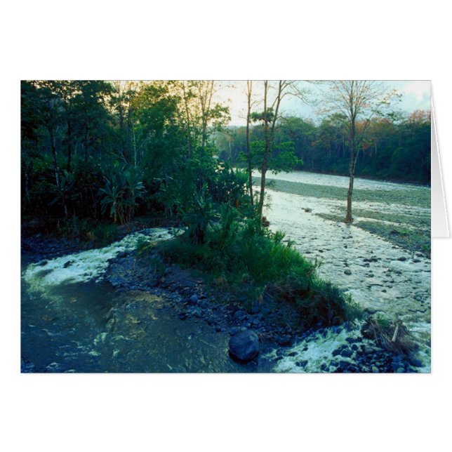 Floden/Costa Rica Hälsningskort (Framsidan Horizontal)