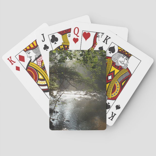 Floden Danmark Casinokort (Baksidan)