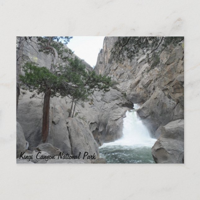 Floden Falls - Kung Canyon nationalpark Vykort (Framsida)