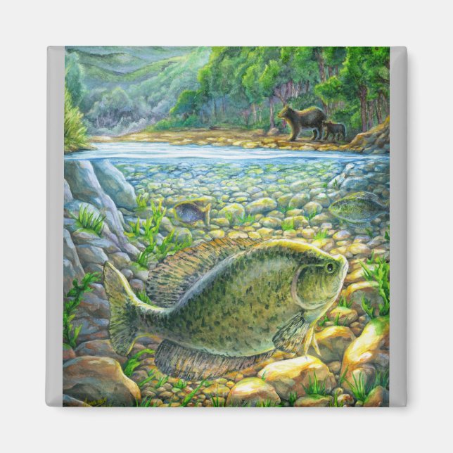 Floden Fish Magnet (Framsidan)