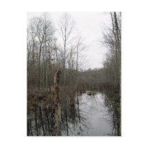 Floden genom Wilderness