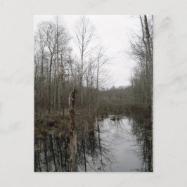 Floden genom Wilderness Vykort