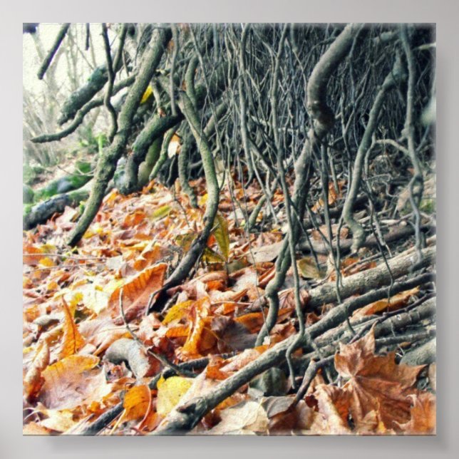 Floden Hafren Poster (Framsidan)