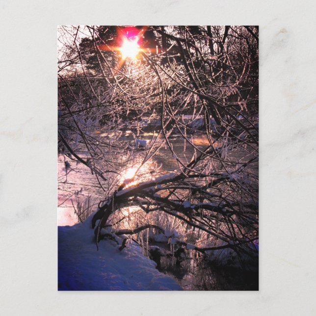 Floden Hafren / Severn på vintern Vykort (Framsida)