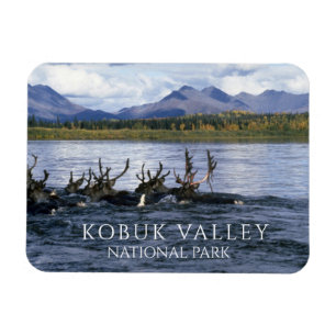 Floden Kobuk (Västindien), Kobuk Valley Magnet