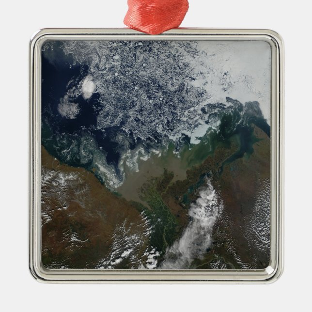 Floden Mackenzie ligger i Mackenzie Bay Julgransprydnad Metall (Framsidan)